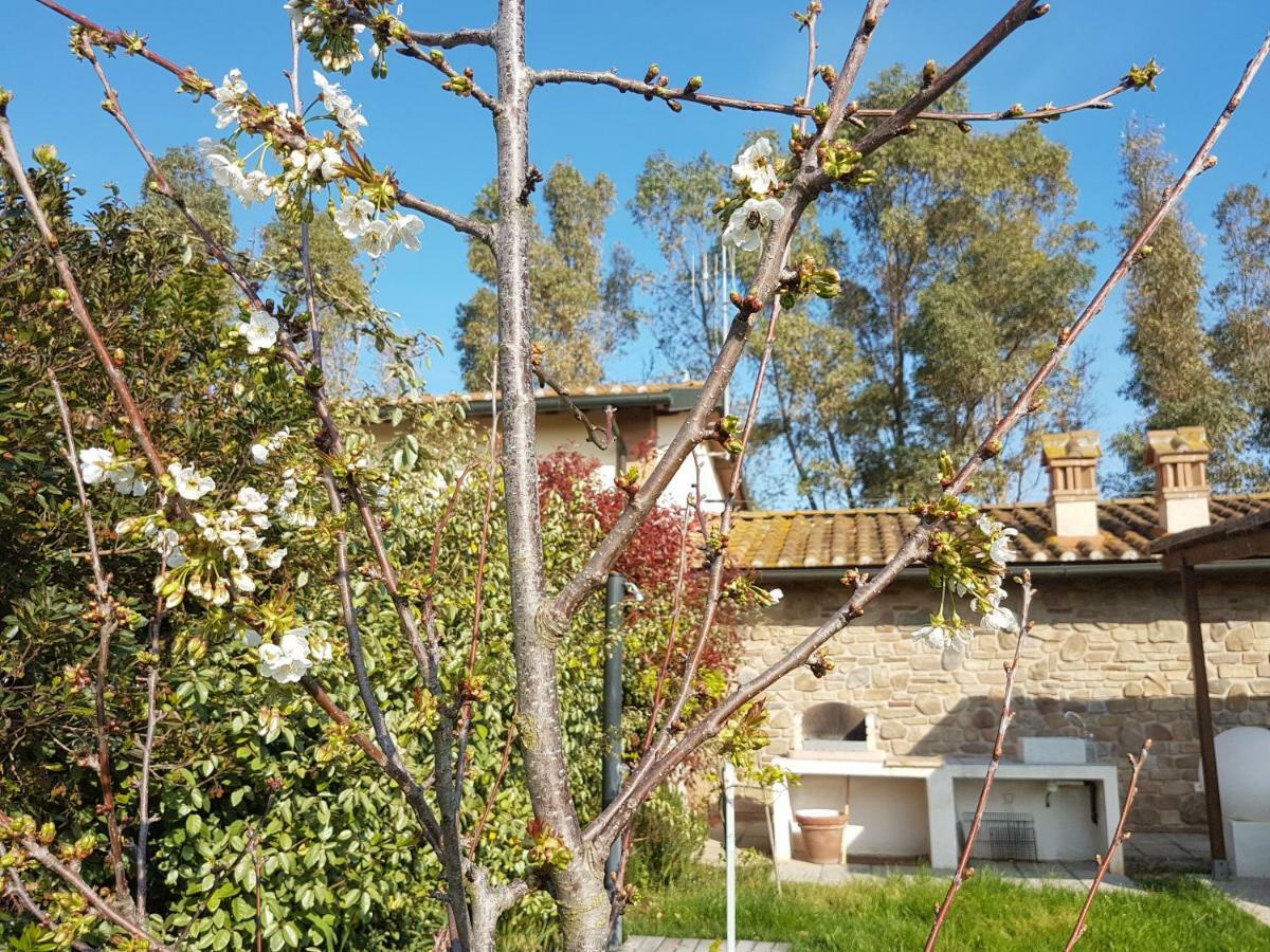 Villino Il Paduletto Villa Casa Paduletto Eksteriør billede